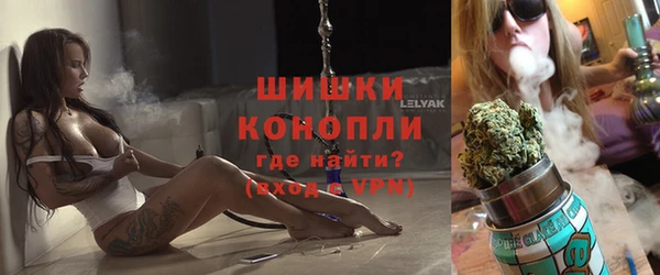гашик Аркадак