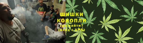 гашик Аркадак