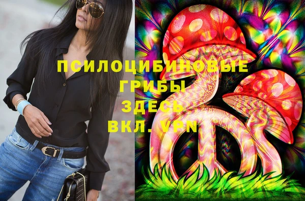 гашик Аркадак