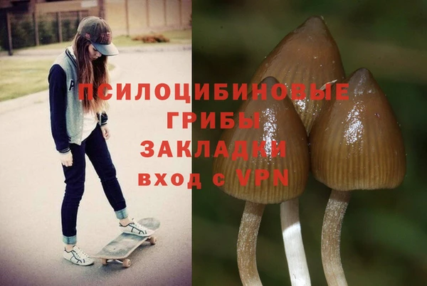 мдпв Арсеньев
